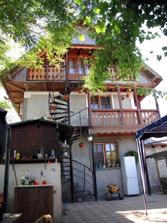 Casa Oana Hotell Sulina Exteriör bild
